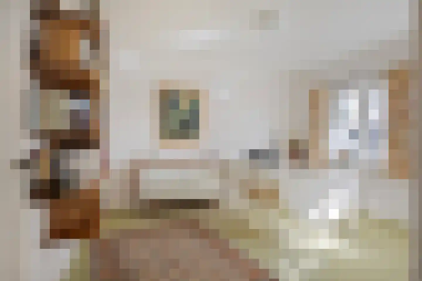 Dr. Hermanslaan 34 Oss thumbnail 29