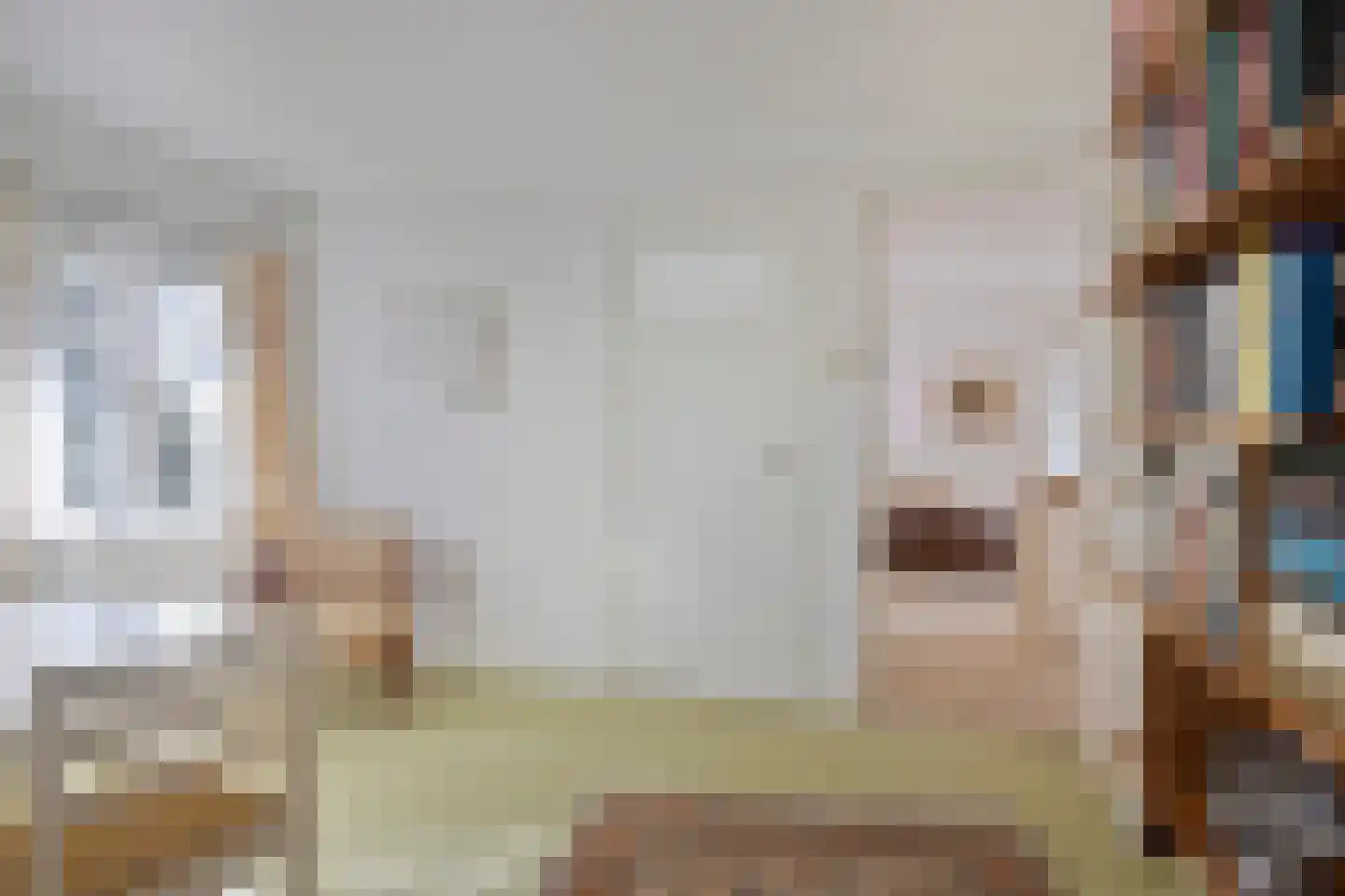 Dr. Hermanslaan 34 Oss thumbnail 30