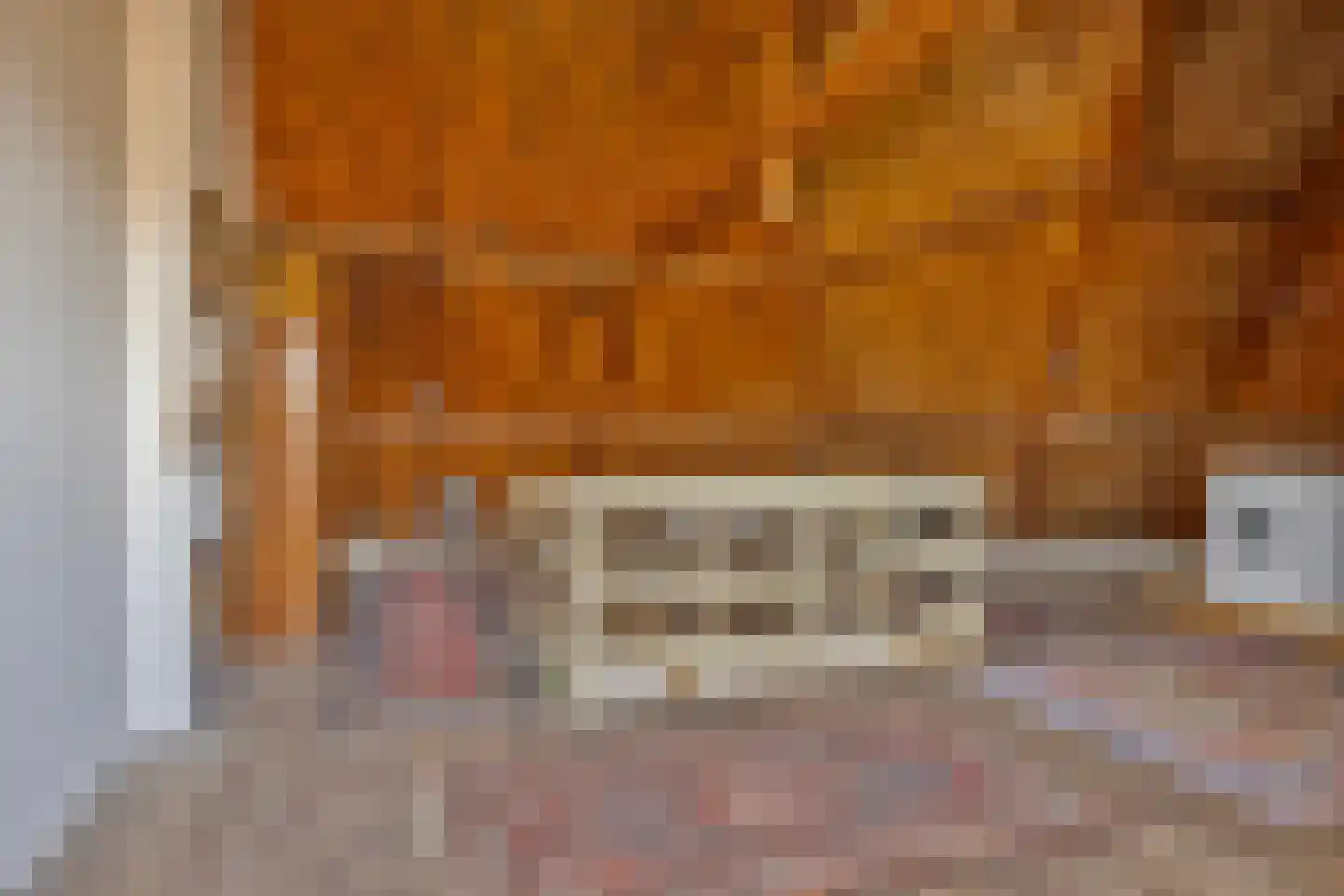 Dr. Hermanslaan 34 Oss thumbnail 35