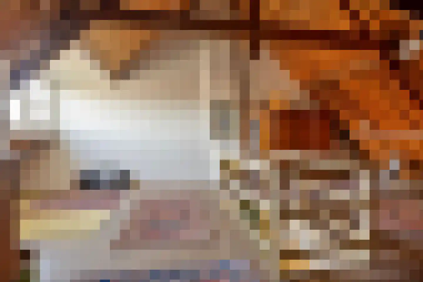 Dr. Hermanslaan 34 Oss thumbnail 36
