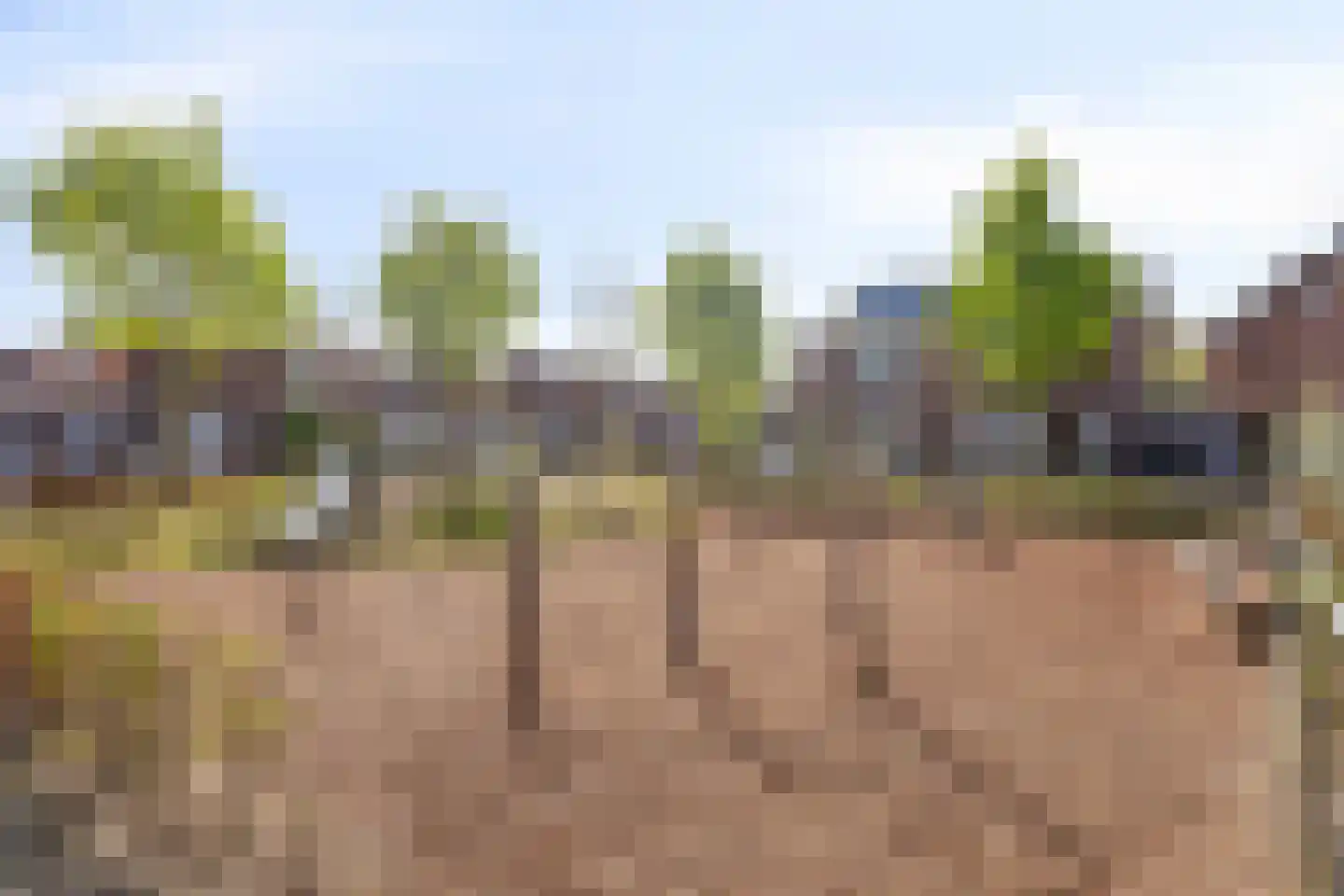 Dr. Hermanslaan 34 Oss thumbnail 40