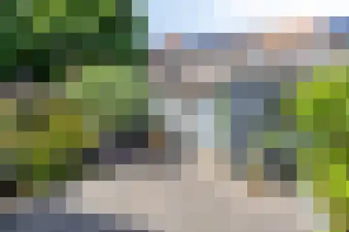 Dr. Hermansstraat 6 's-Hertogenbosch thumbnail 11