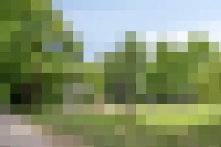 Dr. Hermansstraat 6 's-Hertogenbosch thumbnail 20