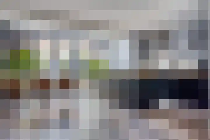 Dr. Hermansstraat 6 's-Hertogenbosch thumbnail 4