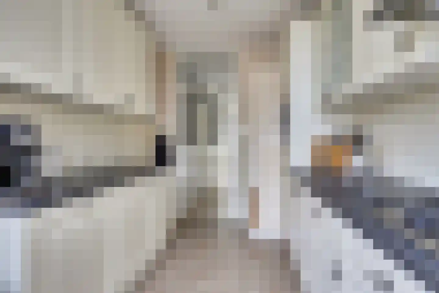 Dr Holwerdastraat 4 Wijk bij Duurstede thumbnail 12
