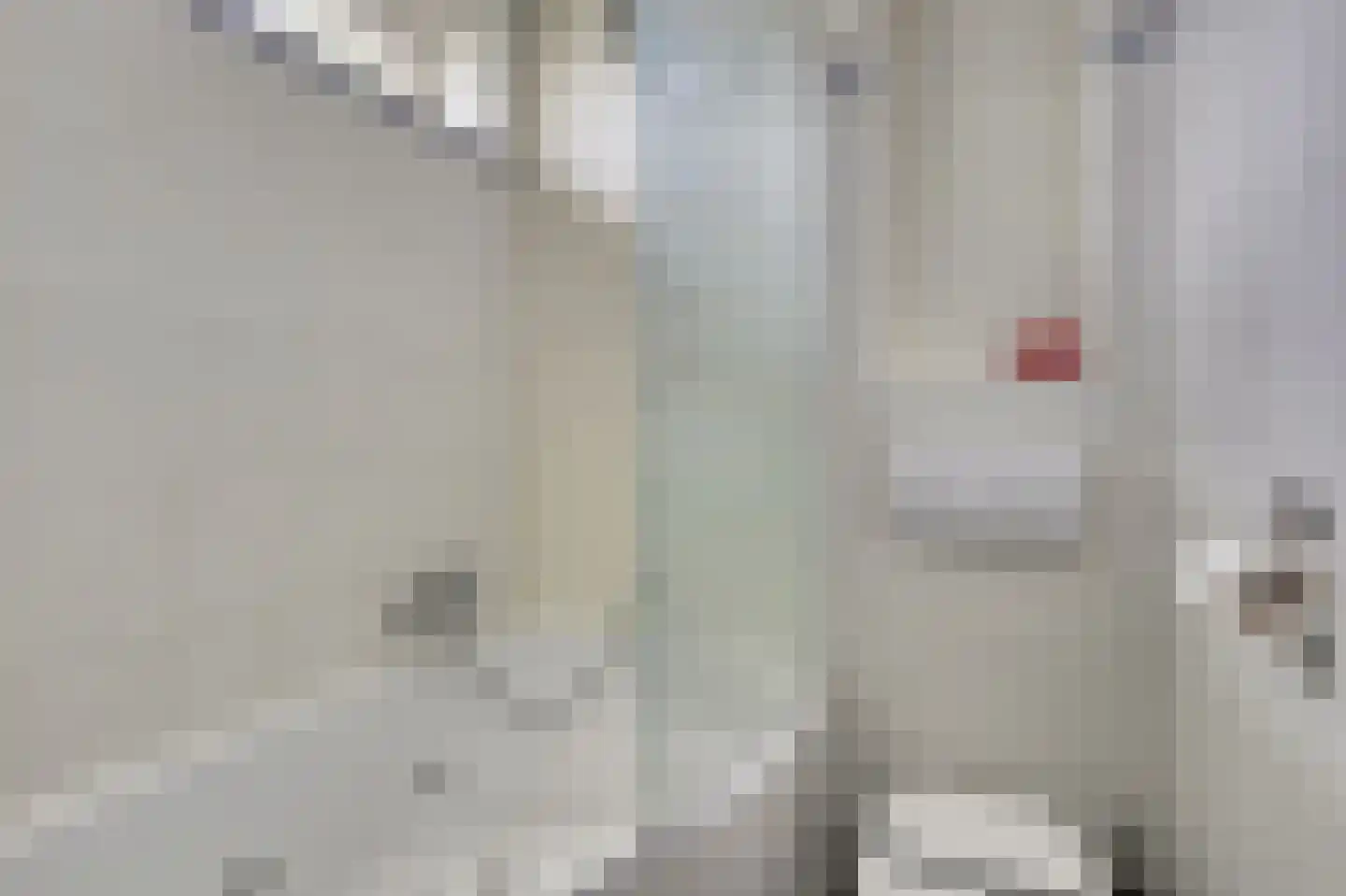 Dr Holwerdastraat 4 Wijk bij Duurstede thumbnail 22