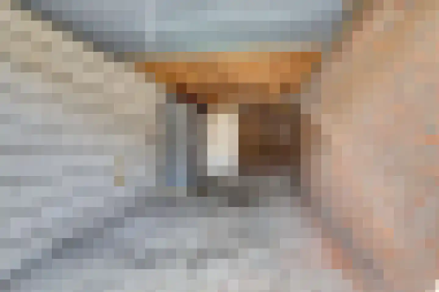 Dr Holwerdastraat 4 Wijk bij Duurstede thumbnail 35