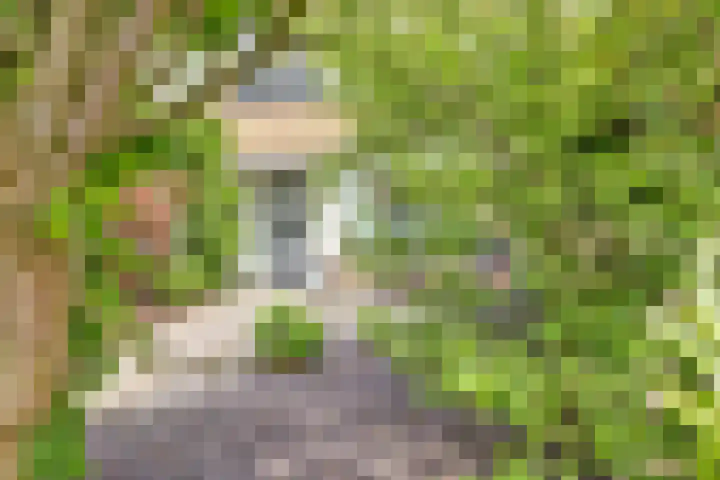 Dr Holwerdastraat 4 Wijk bij Duurstede thumbnail 41