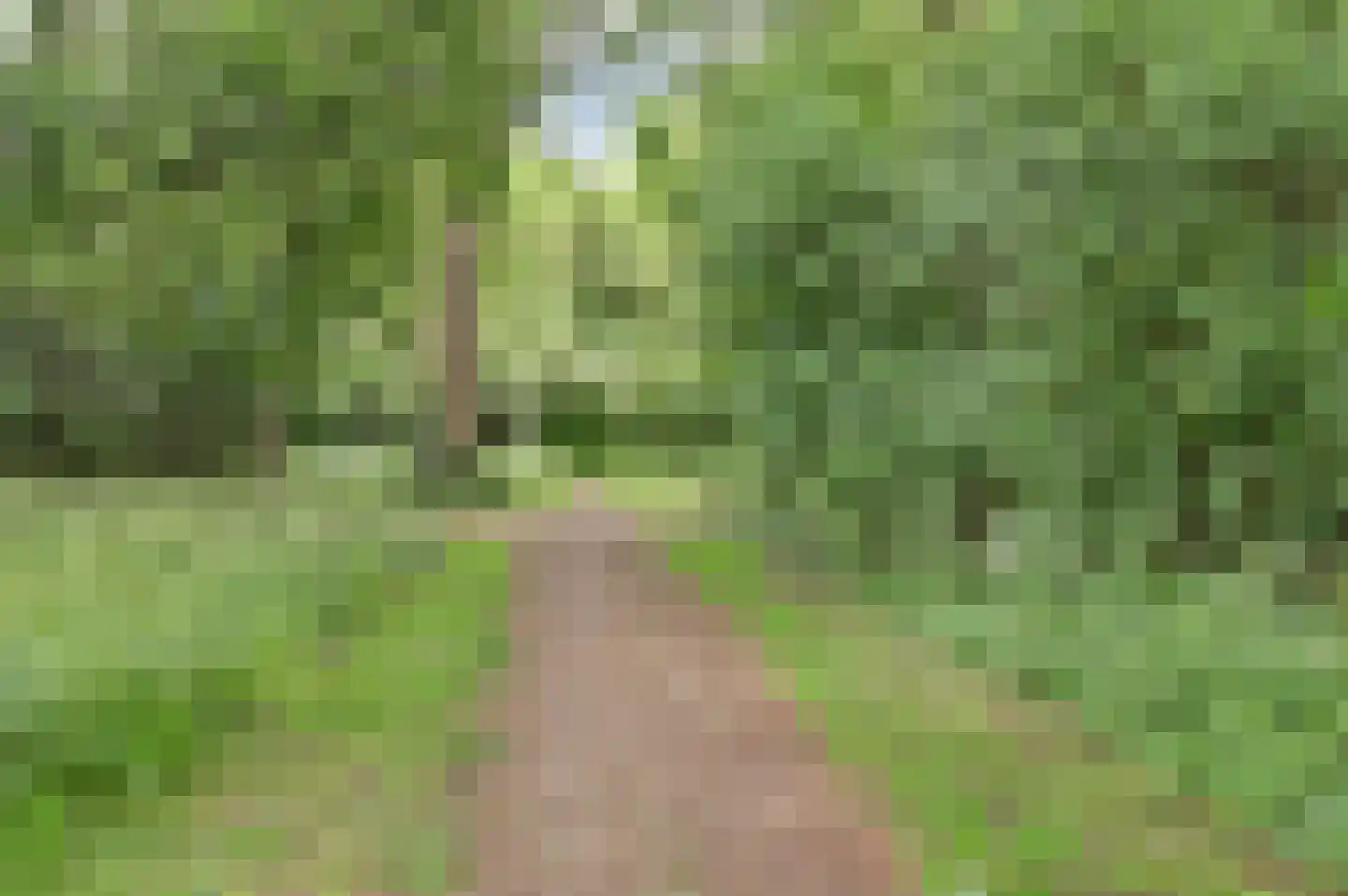 Dr Holwerdastraat 4 Wijk bij Duurstede thumbnail 42