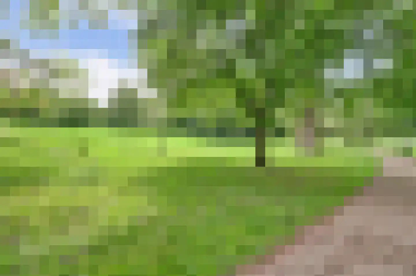 Dr Holwerdastraat 4 Wijk bij Duurstede thumbnail 43