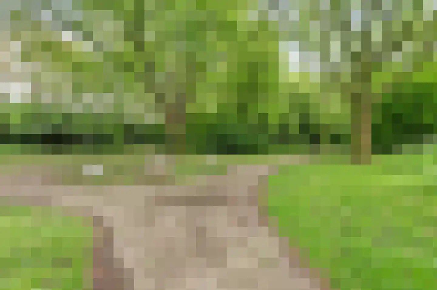 Dr Holwerdastraat 4 Wijk bij Duurstede thumbnail 44