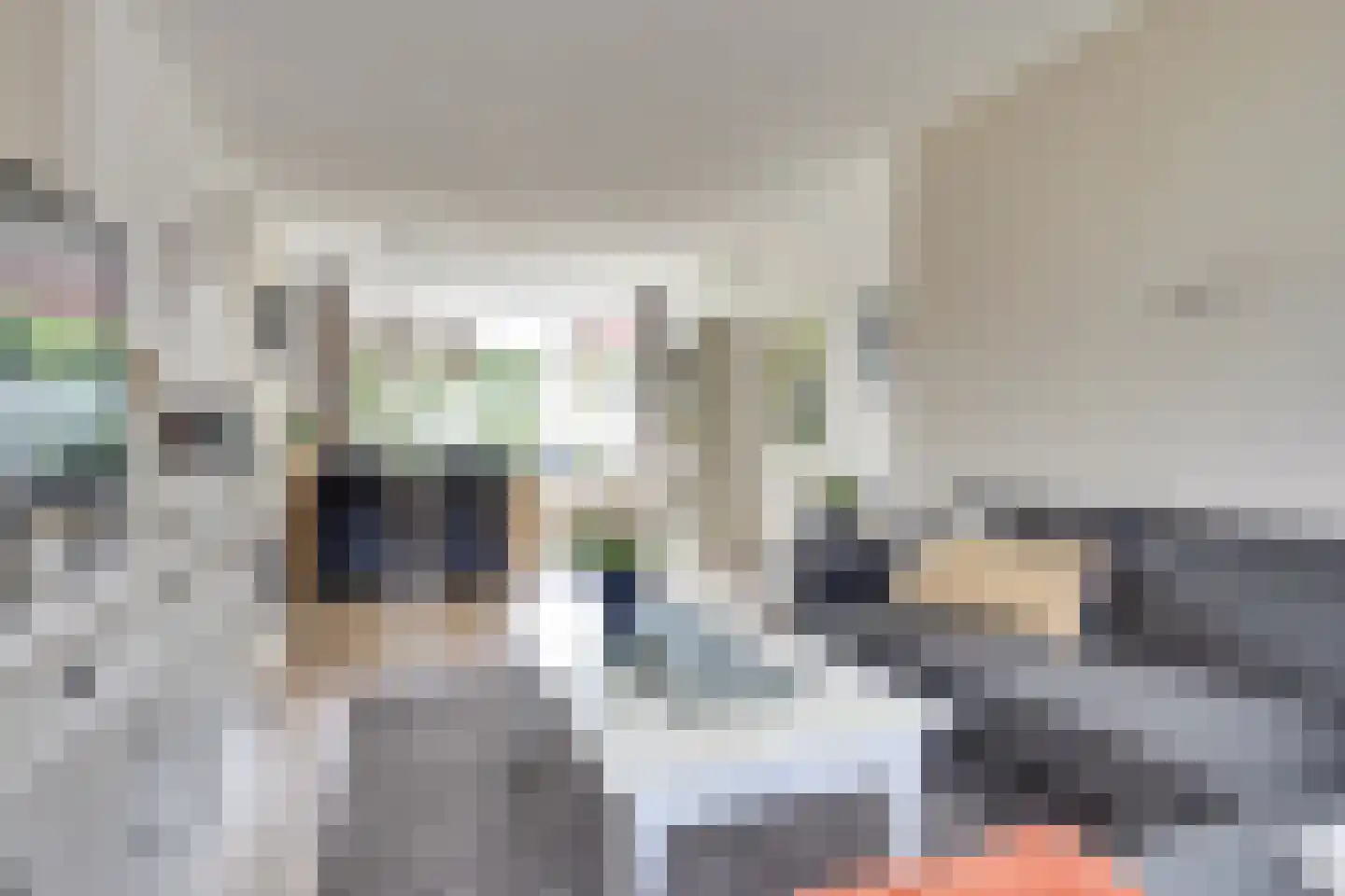 Dr Holwerdastraat 4 Wijk bij Duurstede thumbnail 5