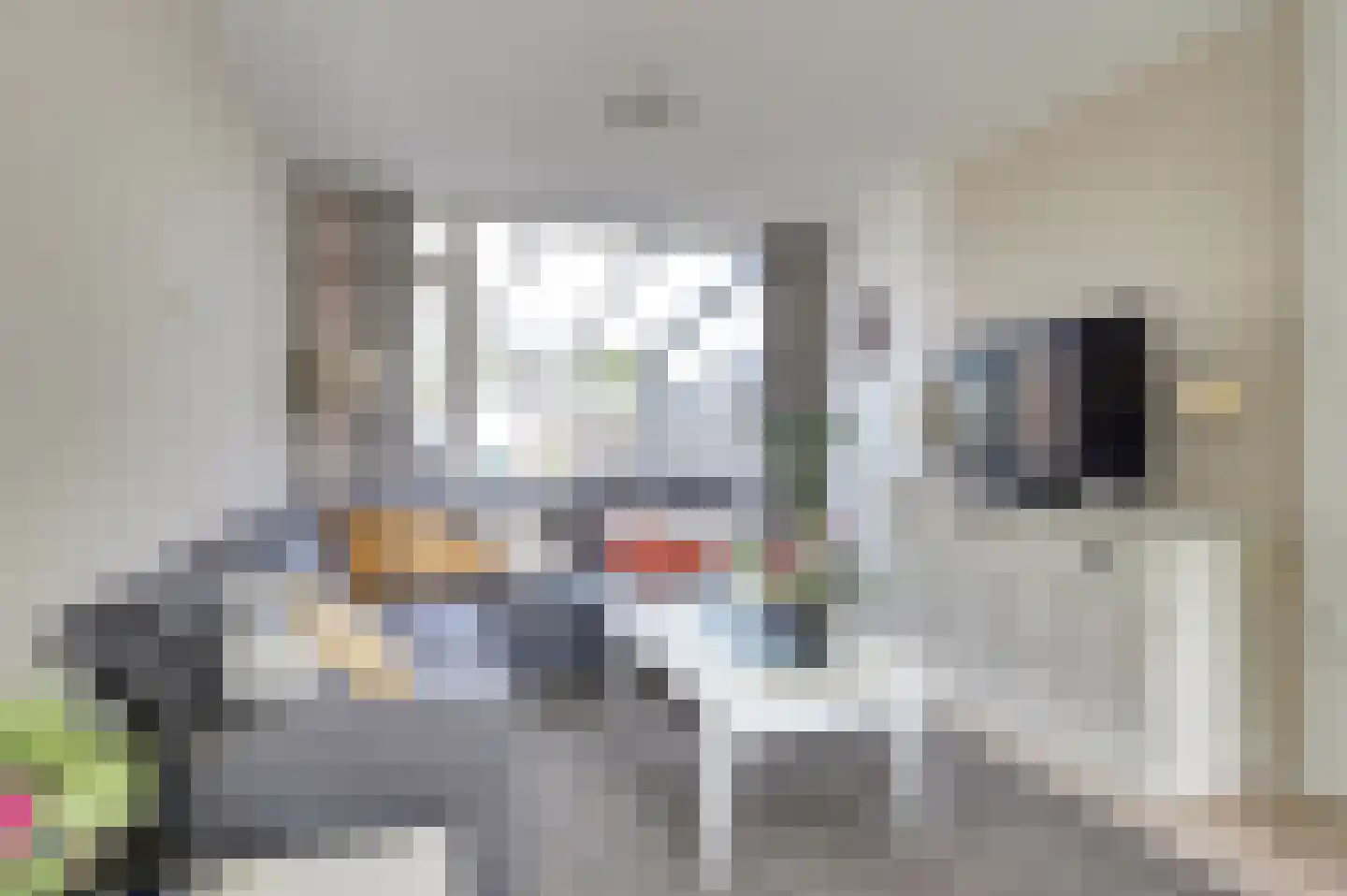 Dr Holwerdastraat 4 Wijk bij Duurstede thumbnail 6