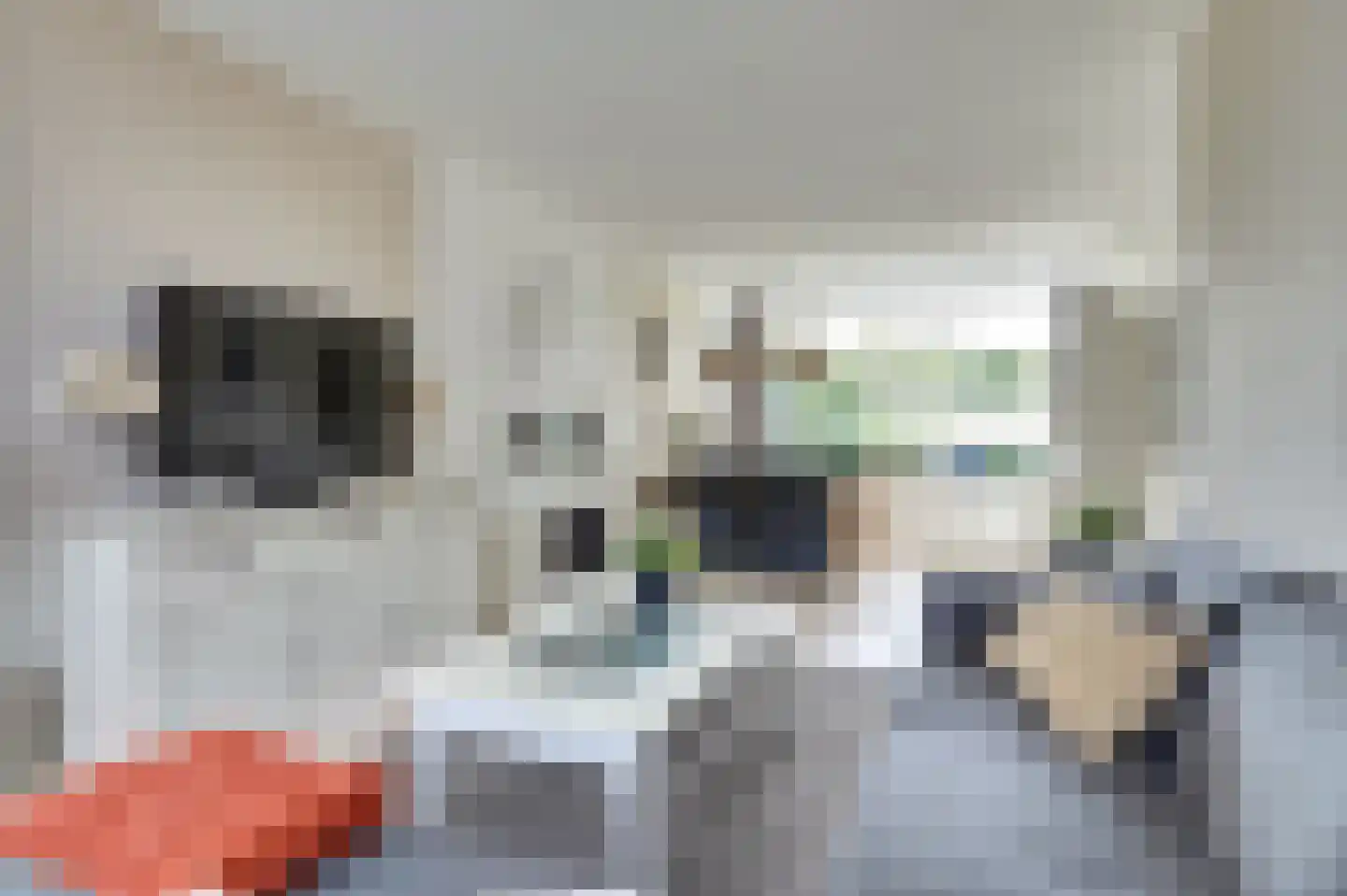 Dr Holwerdastraat 4 Wijk bij Duurstede thumbnail 9