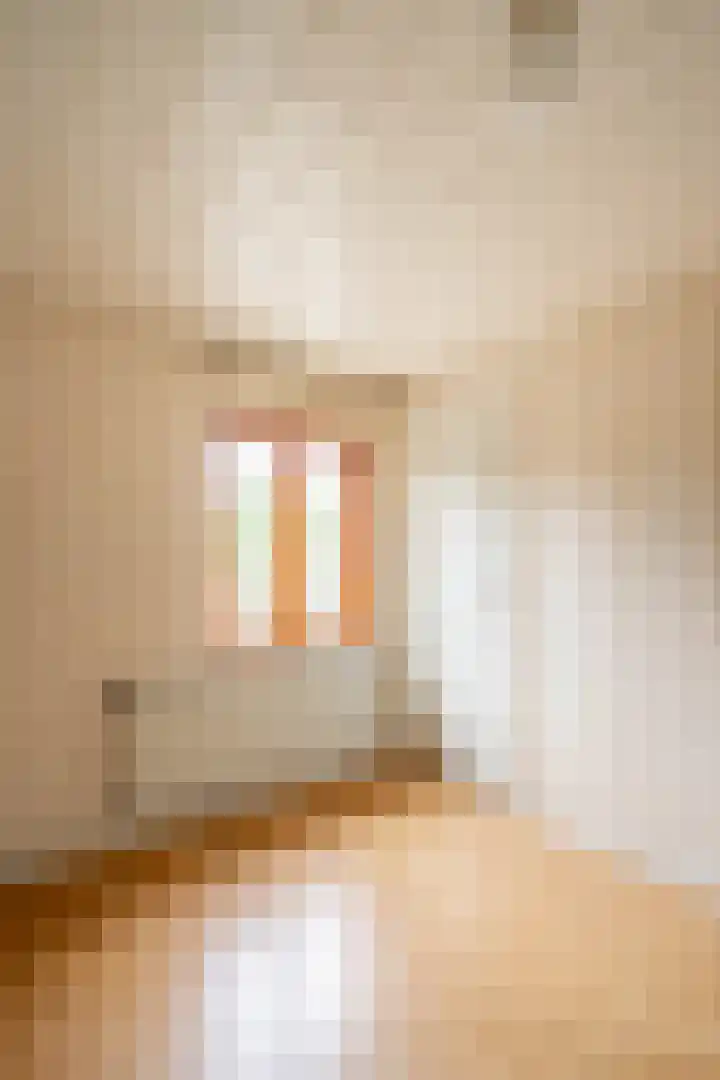 Dr. Houtzagerslaan 4 De Rips thumbnail 13
