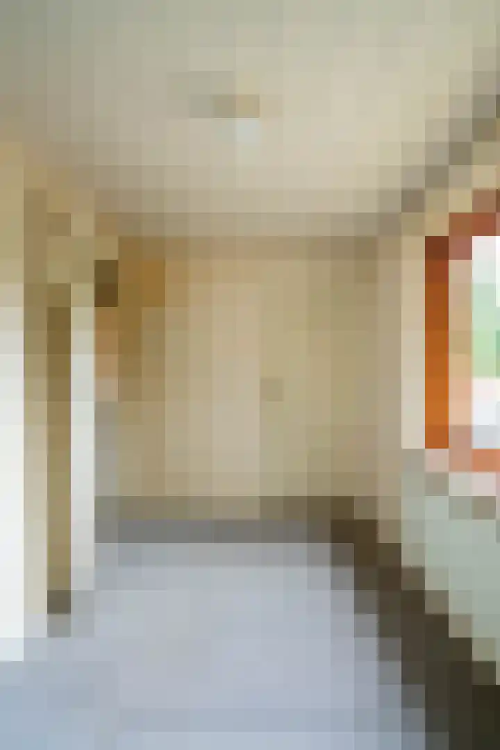 Dr. Houtzagerslaan 4 De Rips thumbnail 16