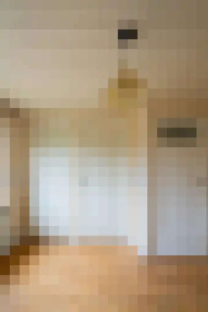 Dr. Houtzagerslaan 4 De Rips thumbnail 18