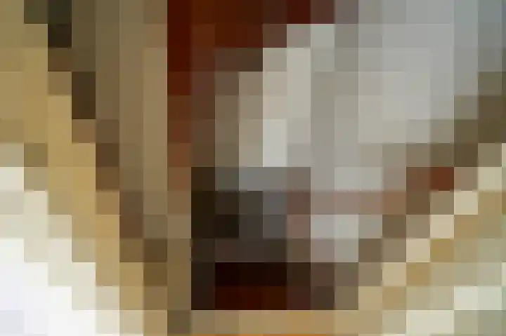 Dr. Houtzagerslaan 4 De Rips thumbnail 23