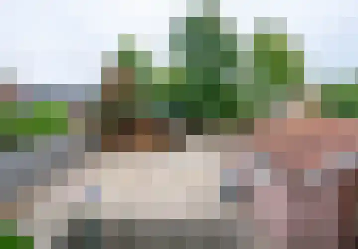 Dr. Houtzagerslaan 4 De Rips thumbnail 24
