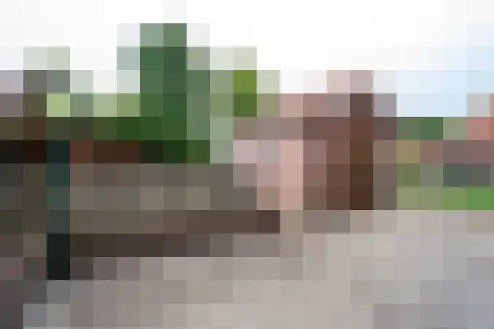 Dr. Houtzagerslaan 4 De Rips thumbnail 25
