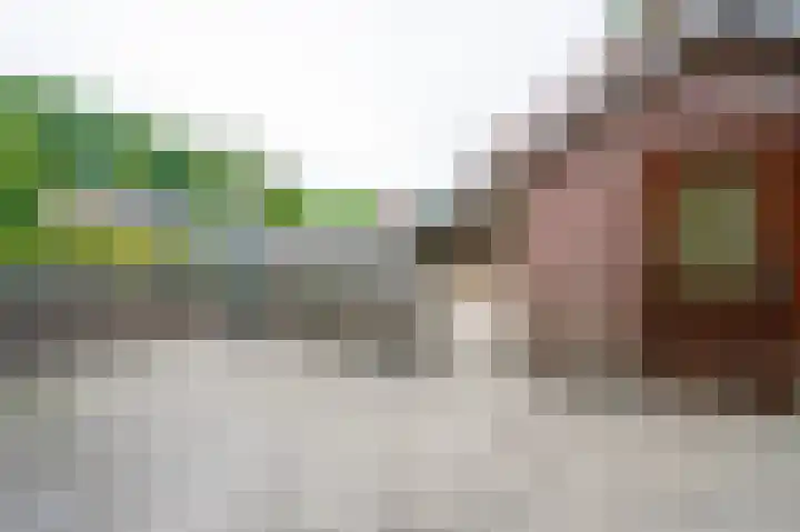 Dr. Houtzagerslaan 4 De Rips thumbnail 26