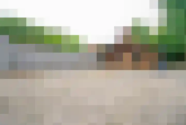 Dr. Houtzagerslaan 4 De Rips thumbnail 27