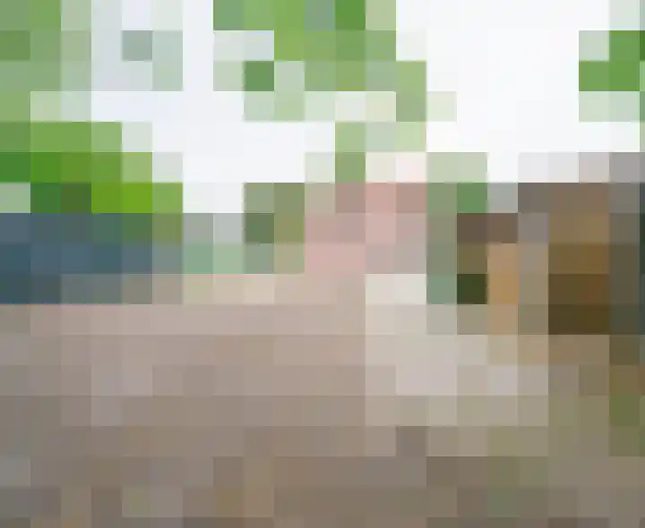 Dr. Houtzagerslaan 4 De Rips thumbnail 29
