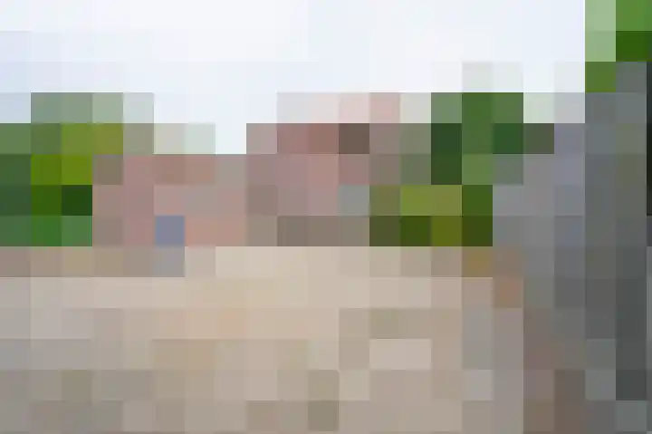 Dr. Houtzagerslaan 4 De Rips thumbnail 30