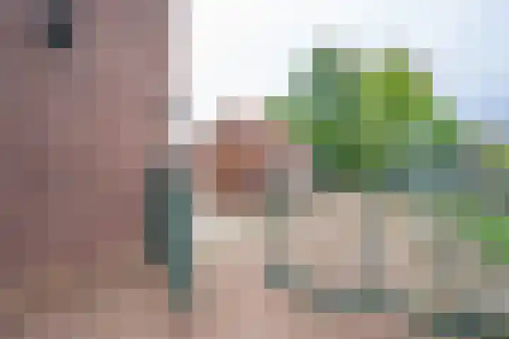 Dr. Houtzagerslaan 4 De Rips thumbnail 31