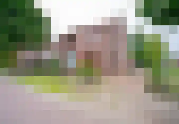 Dr. Houtzagerslaan 4 De Rips thumbnail 32