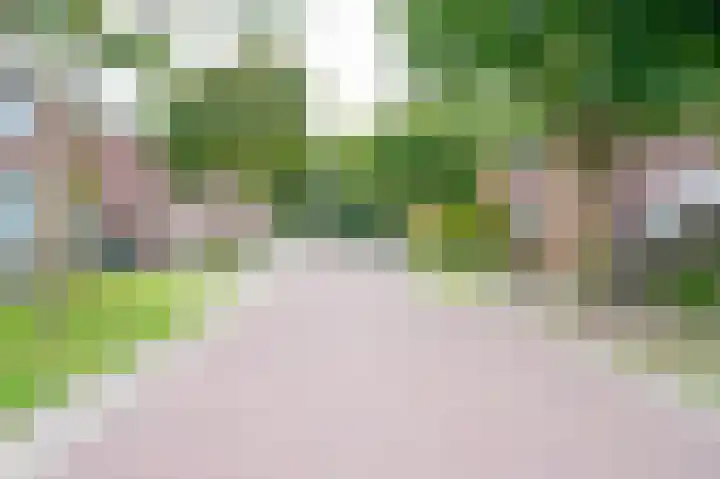 Dr. Houtzagerslaan 4 De Rips thumbnail 34