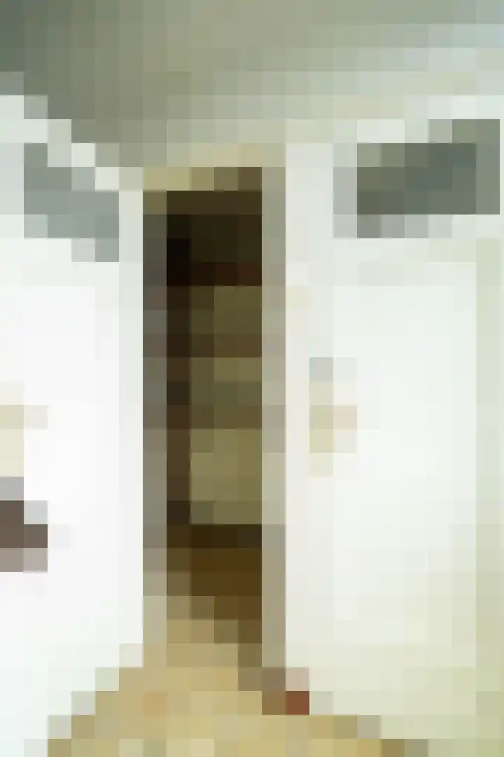 Dr. Houtzagerslaan 4 De Rips thumbnail 4