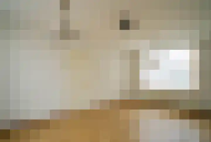 Dr. Houtzagerslaan 4 De Rips thumbnail 6