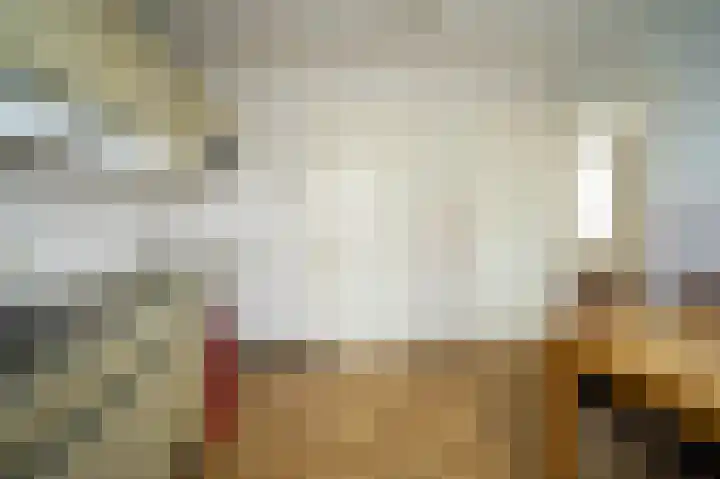 Dr. Houtzagerslaan 4 De Rips thumbnail 7
