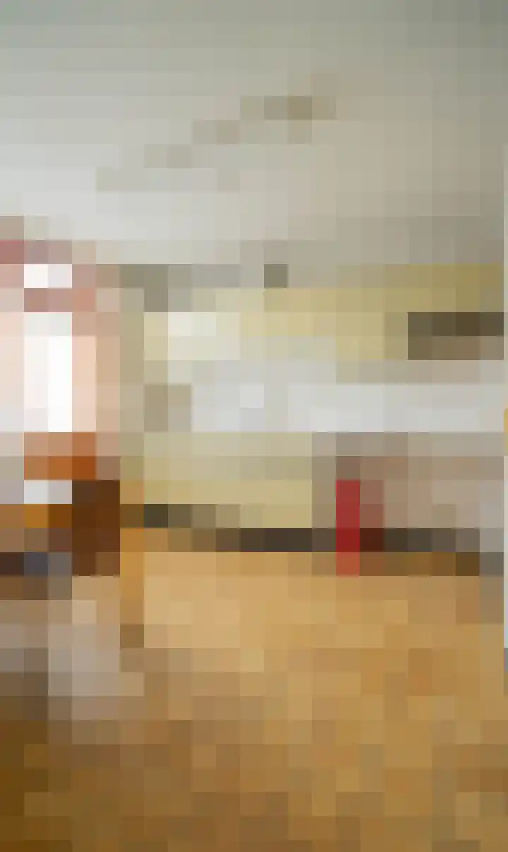 Dr. Houtzagerslaan 4 De Rips thumbnail 9