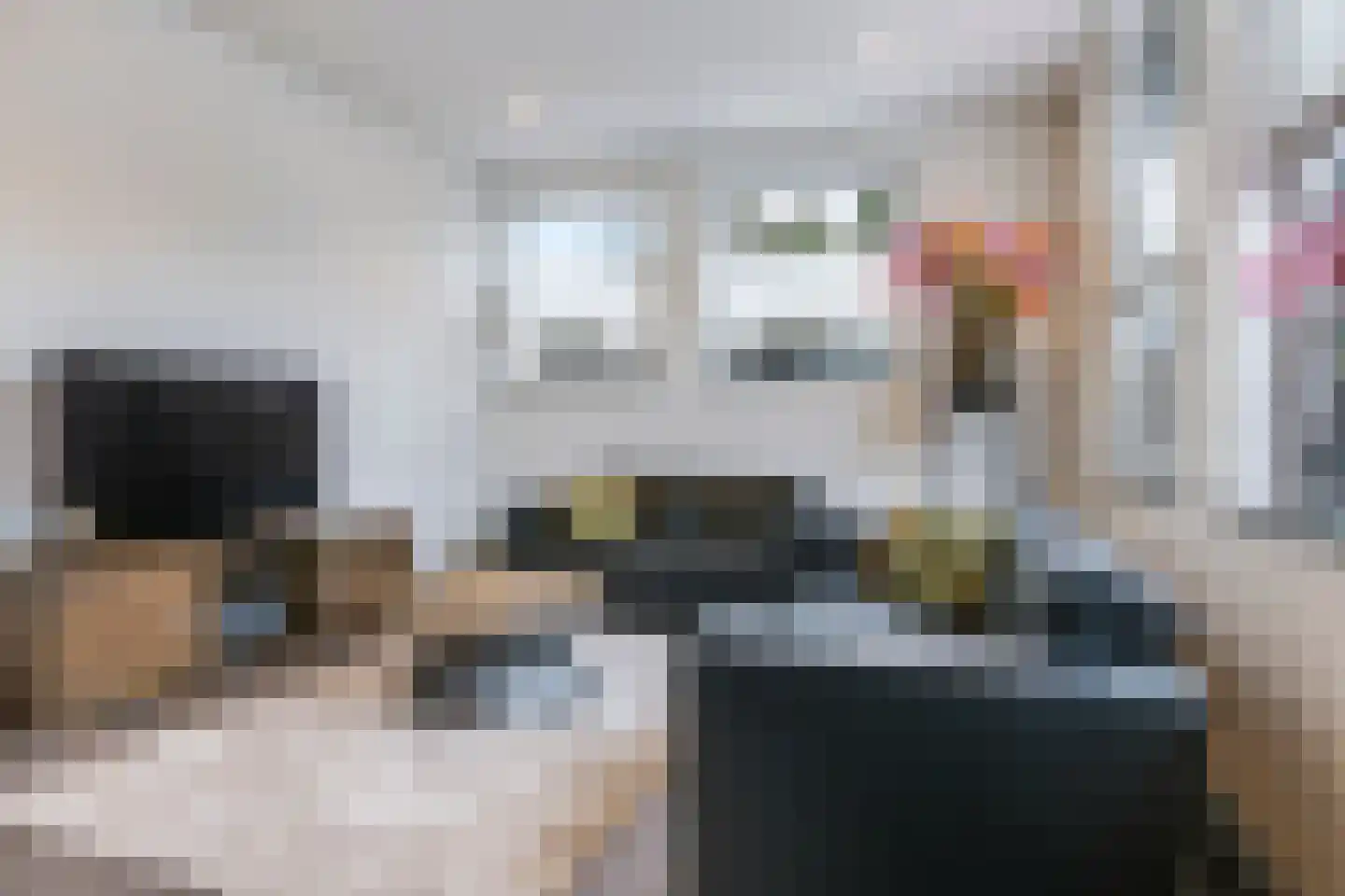 Dr Huber Noodtplaats 10 Doetinchem thumbnail 14