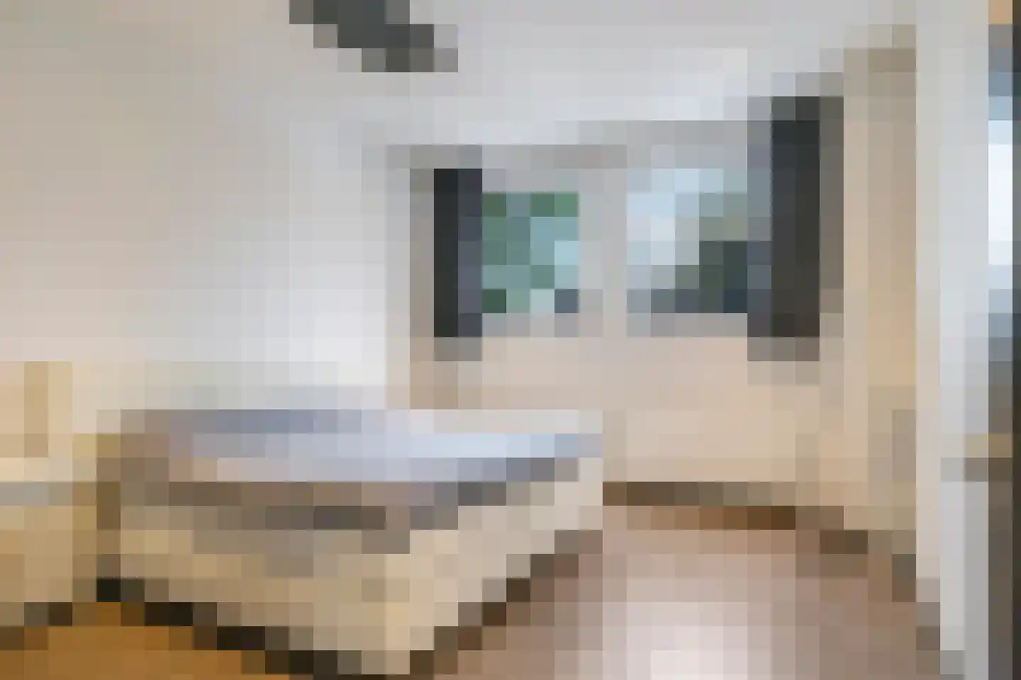 Dr Huber Noodtplaats 10 Doetinchem thumbnail 18