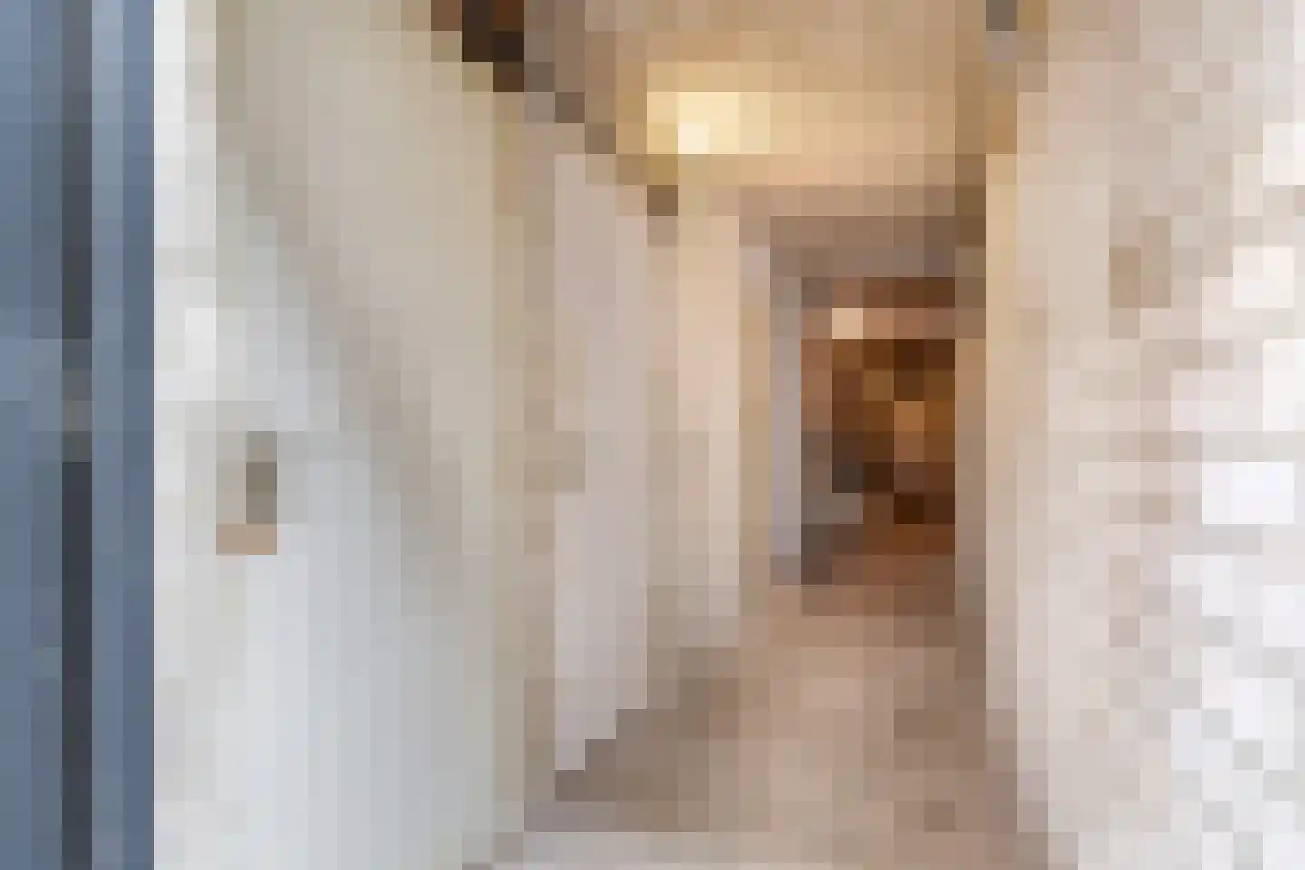 Dr Huber Noodtstraat 26 Doetinchem thumbnail 46