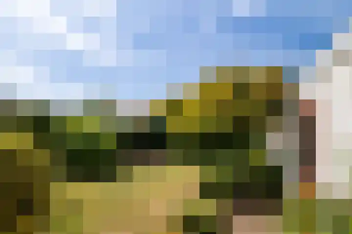 Dr. Hustinxlaan 20 Heerlen thumbnail 16