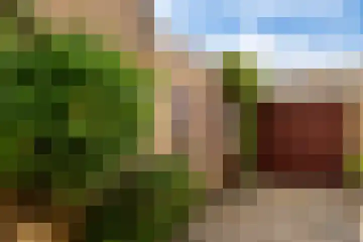 Dr. Hustinxlaan 20 Heerlen thumbnail 21