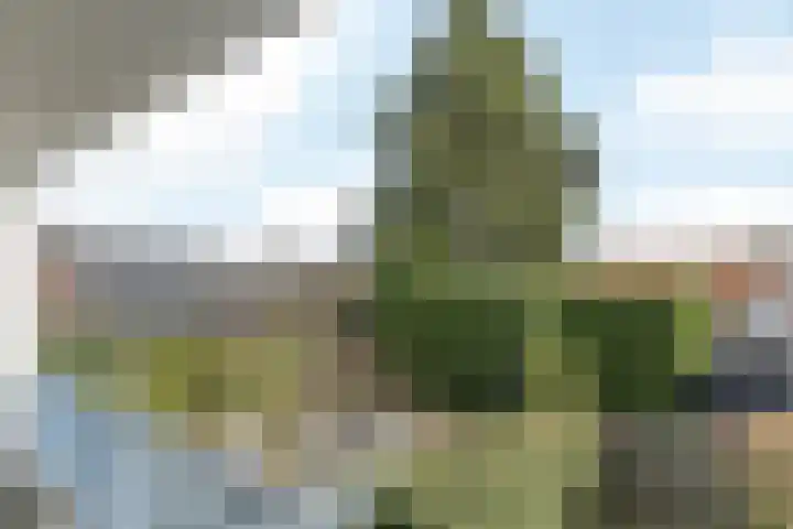 Dr. Ir. Bungestraat 11 Heerlen thumbnail 14