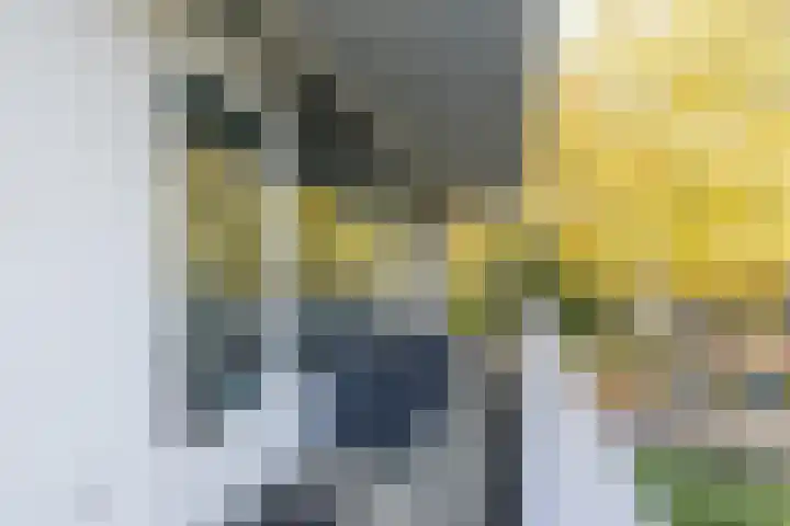 Dr. Ir. Bungestraat 16 Heerlen thumbnail 14