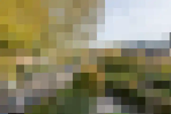 Dr. Ir. Bungestraat 16 Heerlen thumbnail 16