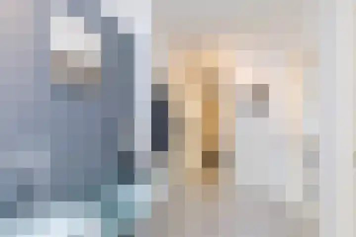Dr. Ir. Bungestraat 16 Heerlen thumbnail 17