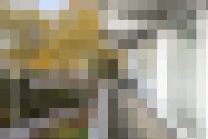 Dr. Ir. Bungestraat 16 Heerlen thumbnail 24