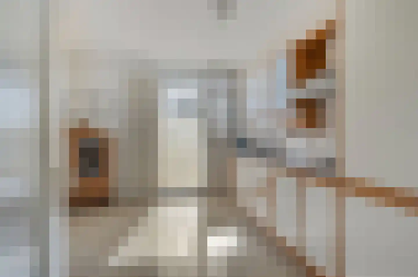Dr. Ir. Bungestraat 51 Heerlen thumbnail 12
