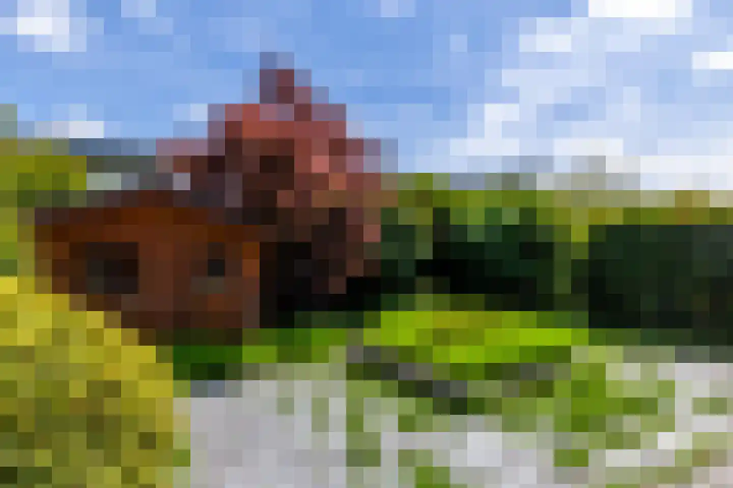Dr. Ir. Bungestraat 53 Heerlen thumbnail 17