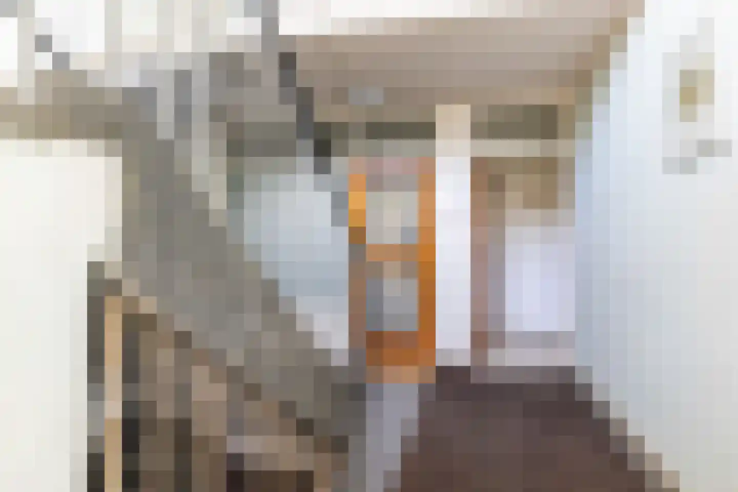 Dr. Ir. Bungestraat 53 Heerlen thumbnail 19