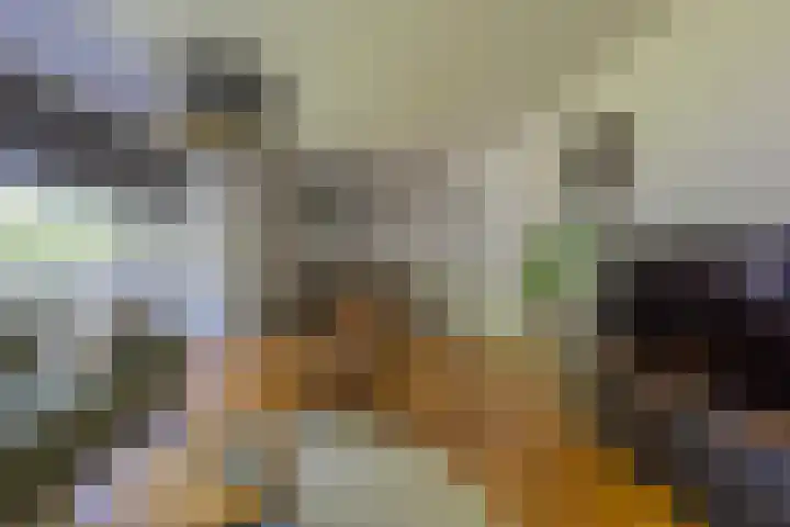 Dr. Ir. Bungestraat 79 Heerlen thumbnail 5