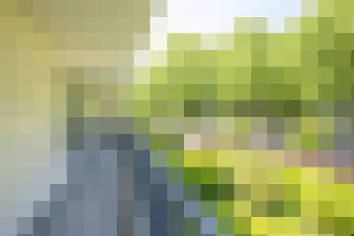 Dr. Ir. Bungestraat 79 Heerlen thumbnail 8